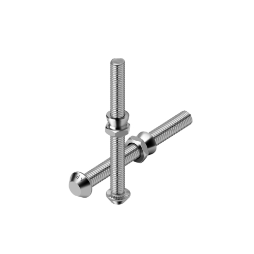 Anti theft Screw + Nut