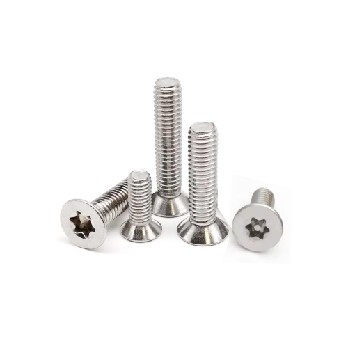 CSK Trox Head Screw